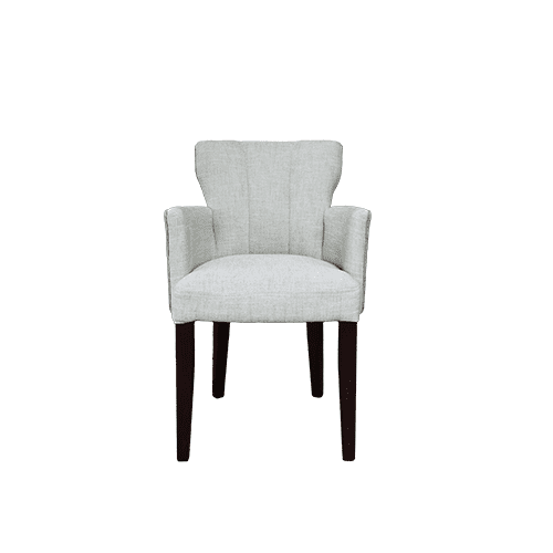 Arnotts 2024 dining chairs